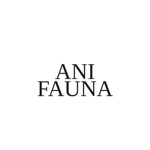 Ani Fauna